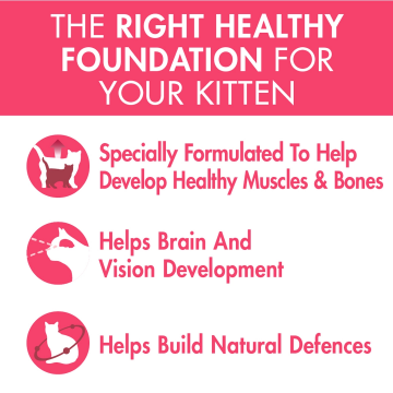 Purina One Wet Food Pouch Healthy Kitten 85g