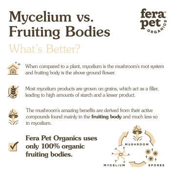 Fera Pet Organics Supplement Mushroom Immune Support 120 scoops