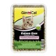 GimCat   Katzen Gras with Meadow Fragrance 150g