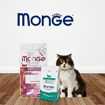 Monge Dry Food Super Premium Urinary 1.5kg | CatSmart Singapore