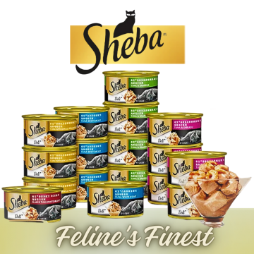 Sheba Cat Wet Food PROMO: Bundle Of 10 Ctns