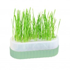 Tom Cat Pakeway Cat Grass Box Green