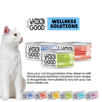 WhiskinGood Wellness Solutions Wet Food - 10 Cartons Bundle Promo