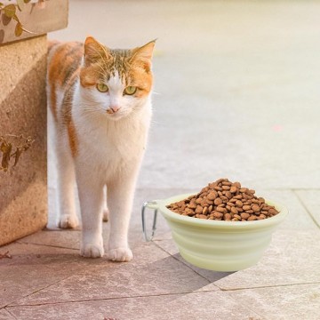 Rubeku Collapsible Bowl Purple