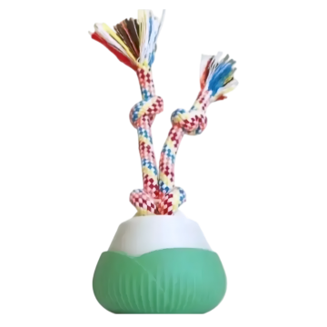 Dooee Toy Rotating Electric Ball Green