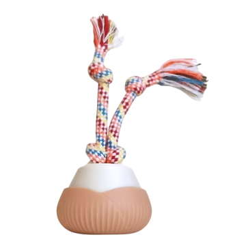 Dooee Toy Rotating Electric Ball Pink