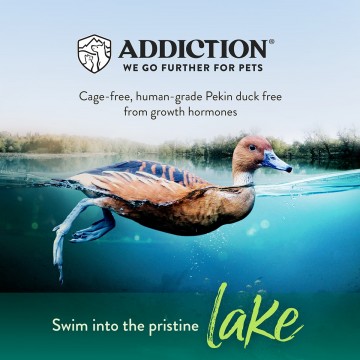 Addiction Food Grain Free Duck Royale for Skin & Coat 4lbs