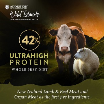 Addiction Wild Islands Highland Meats Lamb & Beef High Protein Recipe 4lbs