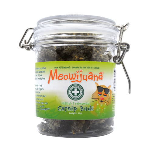 Meowijuana Jar of Catnip Buds 20g CatSmart Singapore