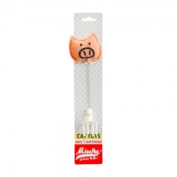 MissPet Cat Scratcher Interactive Toy Pig