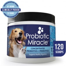 Nusentia Probiotic Miracle Concentrated Probiotics & Prebiotics 120 Scoops