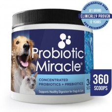 Nusentia Probiotic Miracle Concentrated Probiotics & Prebiotics 360 Scoops, 62295465, cat Supplements, Nusentia, cat Health, catsmart, Health, Supplements
