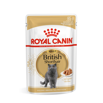 Royal Canin Pouch  in Gravy British Shorthair Adult 85g