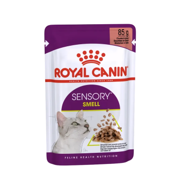 Royal Canin Pouch Sensory Gravy Smell 85g