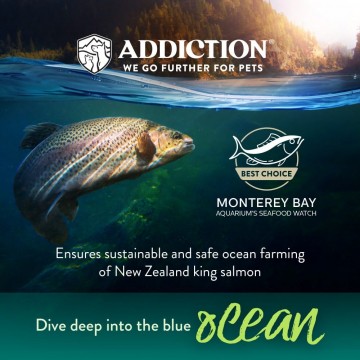 Addiction Food Grain Free Salmon Bleu for Skin & Coat 10lbs