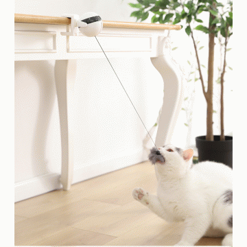 Yo-Yo Lifting Cat Toy