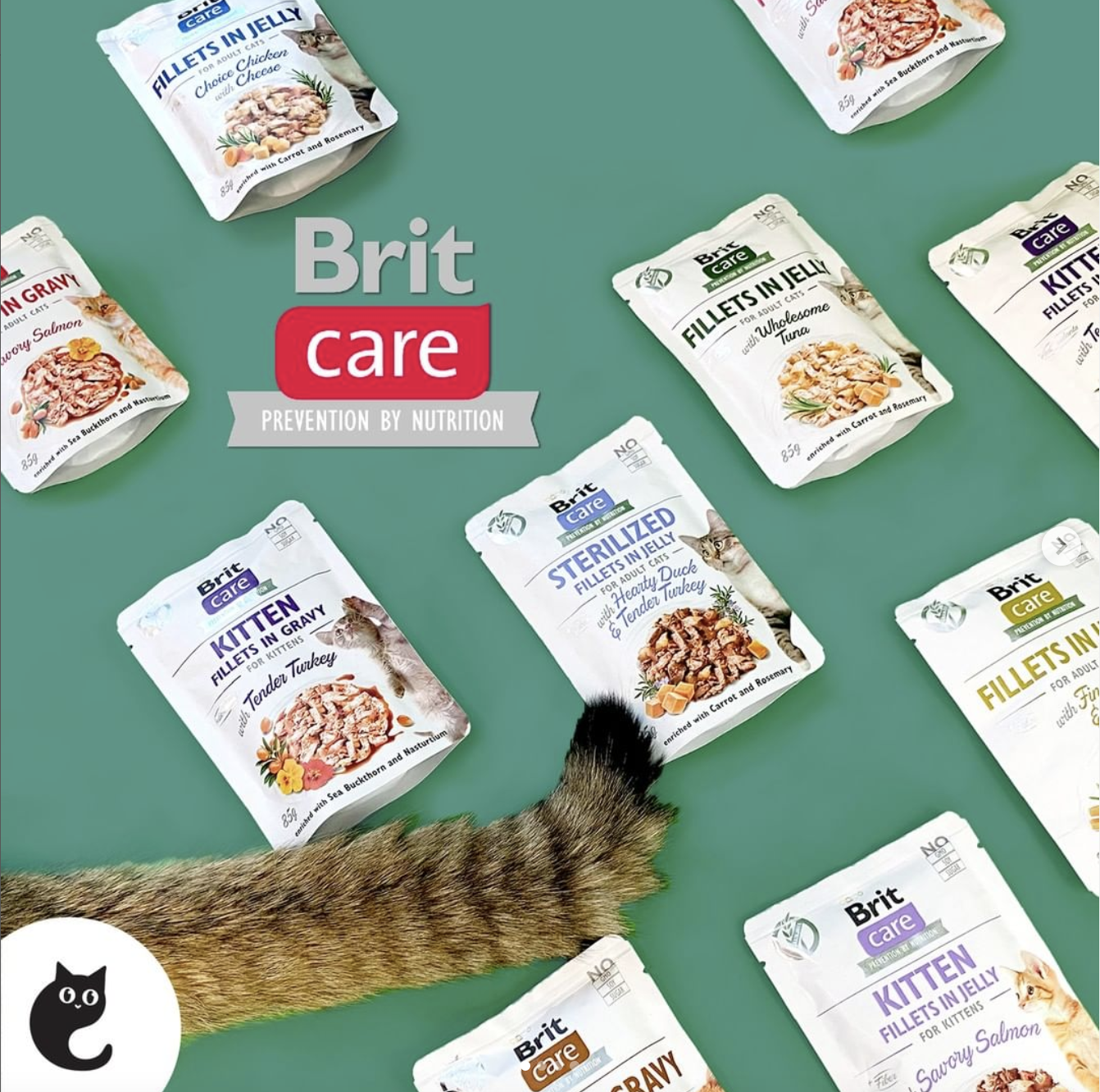 brit-care-wet-food-pouches