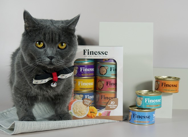 Finesse-Wet-Cat-Food