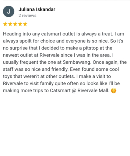 google-review-catsmart