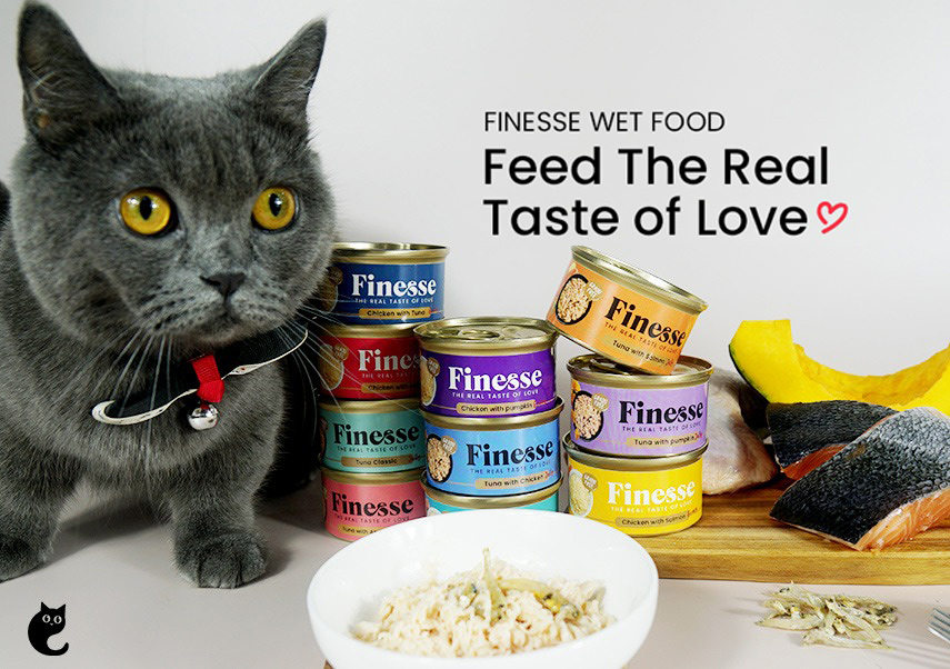 Why You Should Start Feeding Your Feline Finesse Grain-free Wet Cat Food