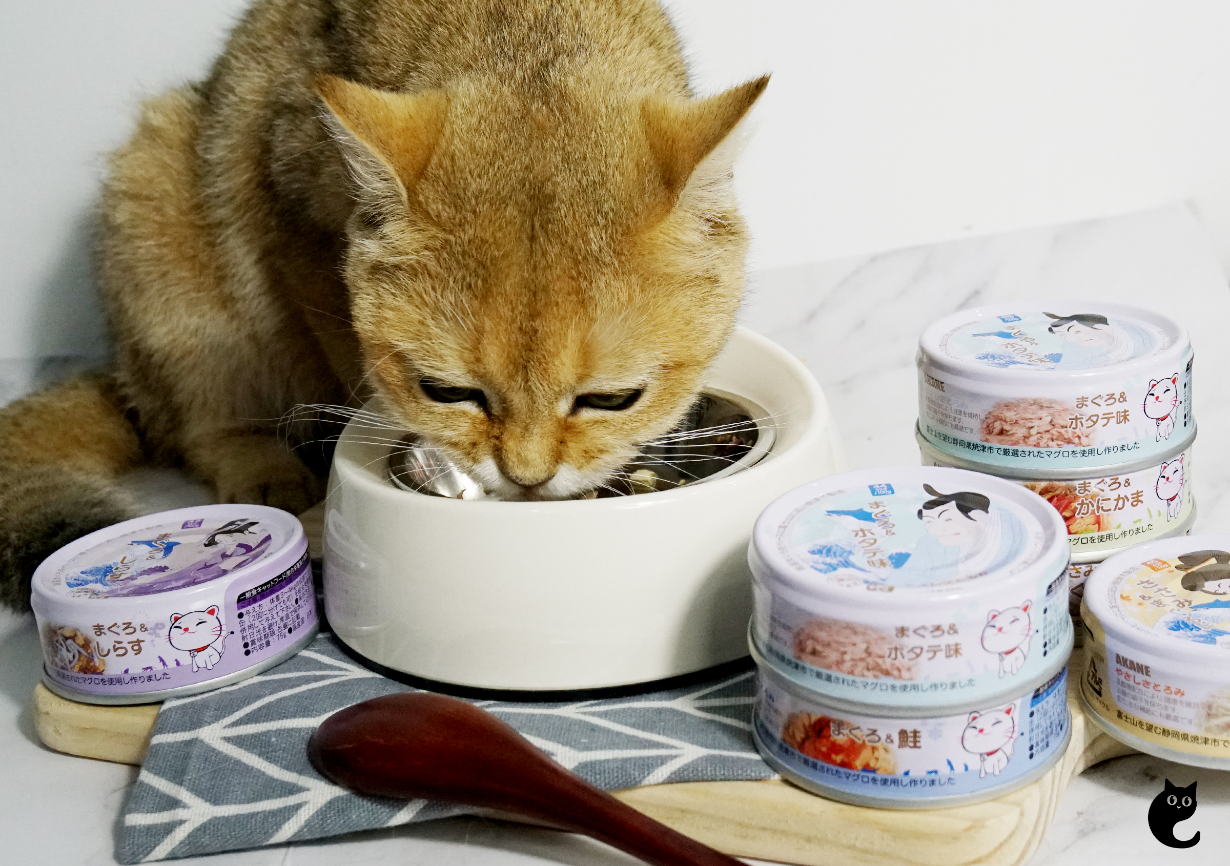 3 MeowTastic Benefits of Feeding A Complementary Wet Food