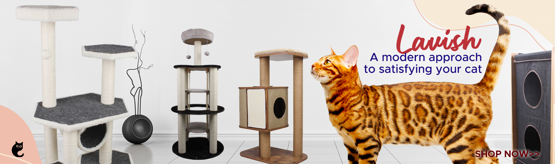 SG Largest Specialised Cat Store CatSmart Singapore