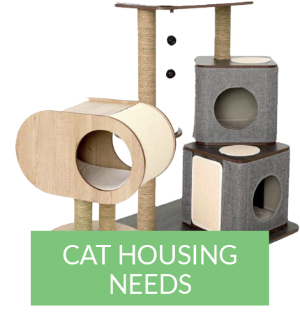 cat-housing-needs